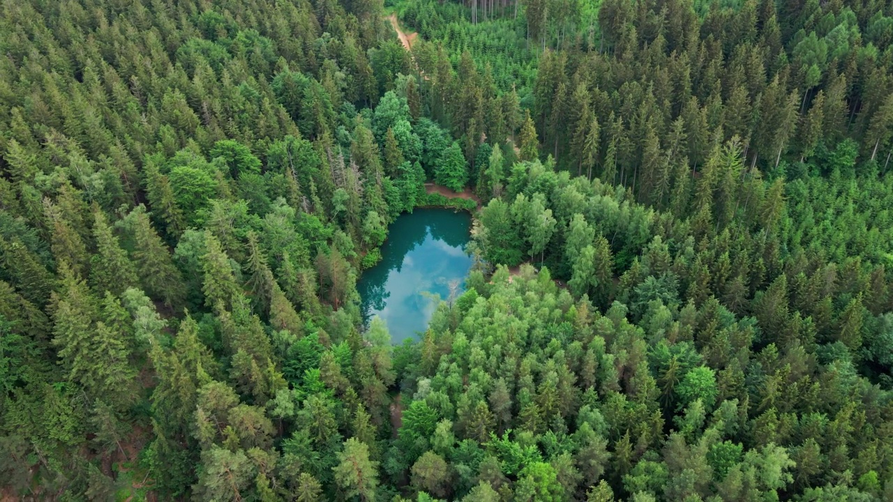 波兰蓝色森林湖鸟瞰图视频素材
