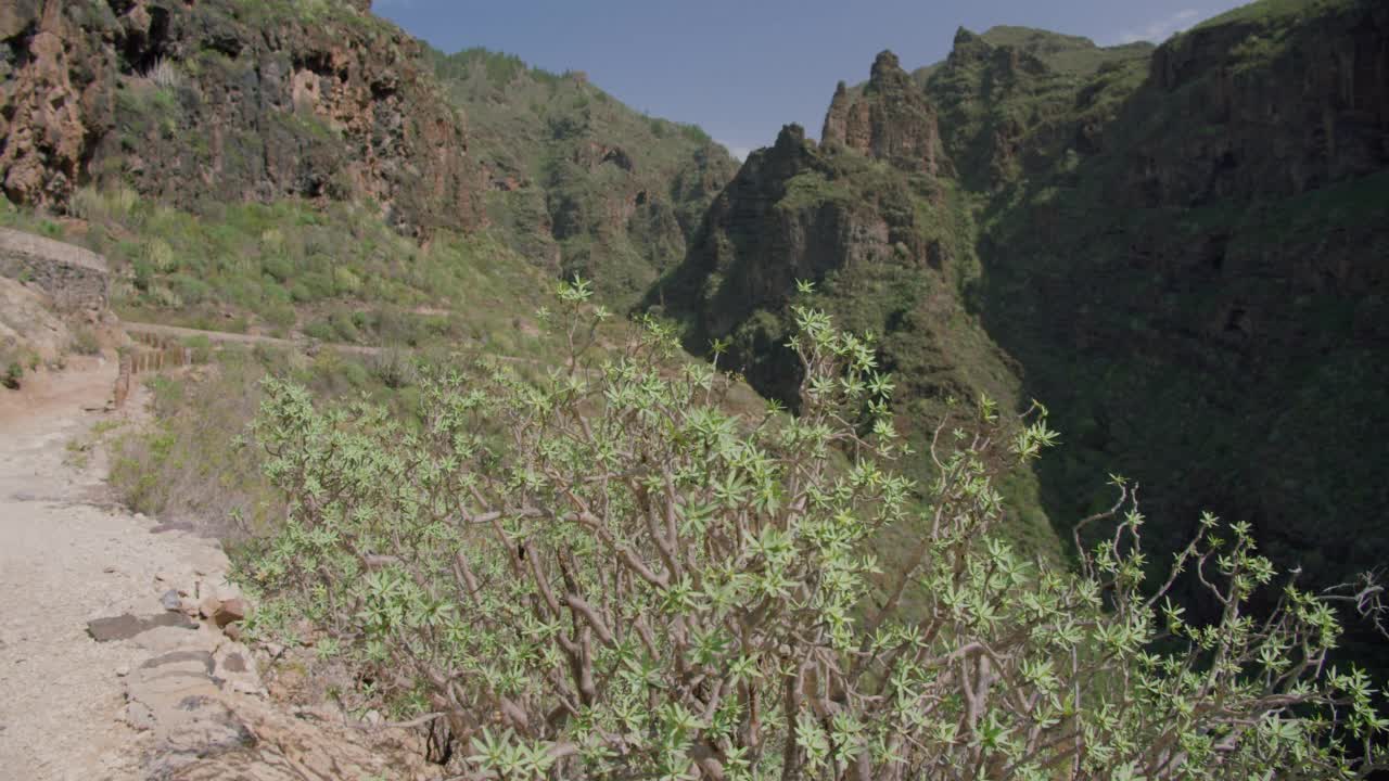 西班牙特内里费岛的地狱峡谷视频素材
