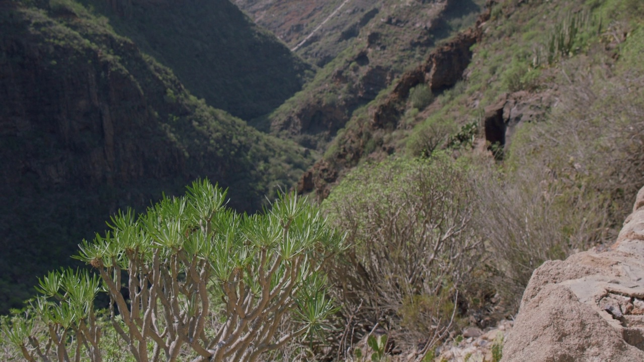 Barranco Del Infierno峡谷位于西班牙特内里费岛。俯瞰阿德杰镇。没有人。视频素材