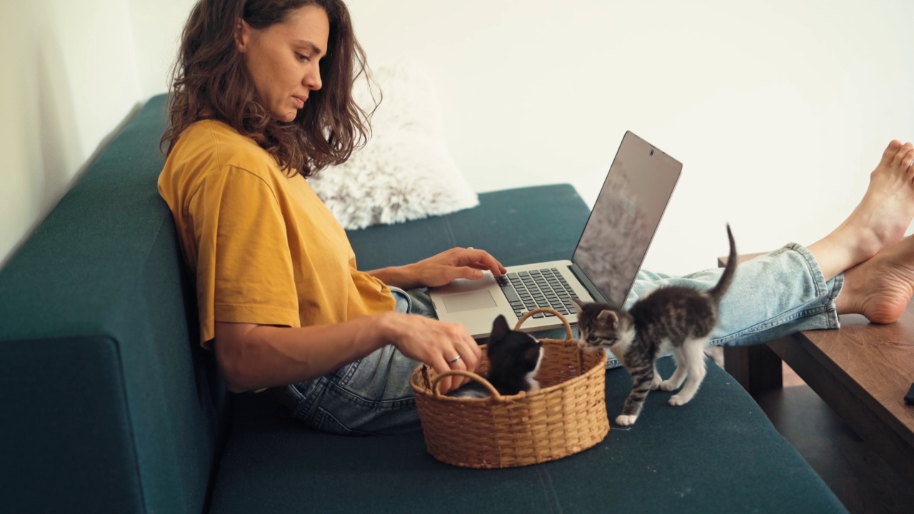 一个年轻的女人在家工作的时候和两只小猫玩视频素材