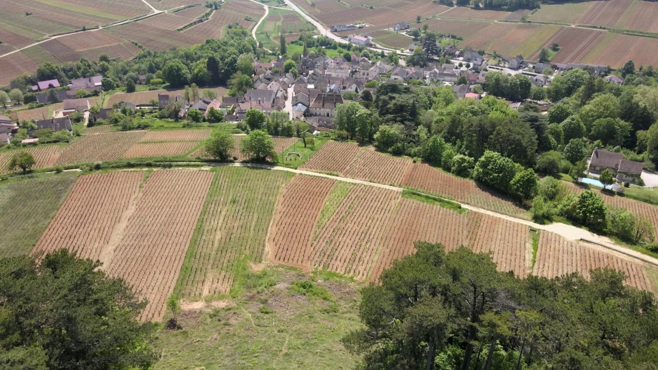 法国勃艮第pernand - vergeless的村庄和葡萄园视频素材
