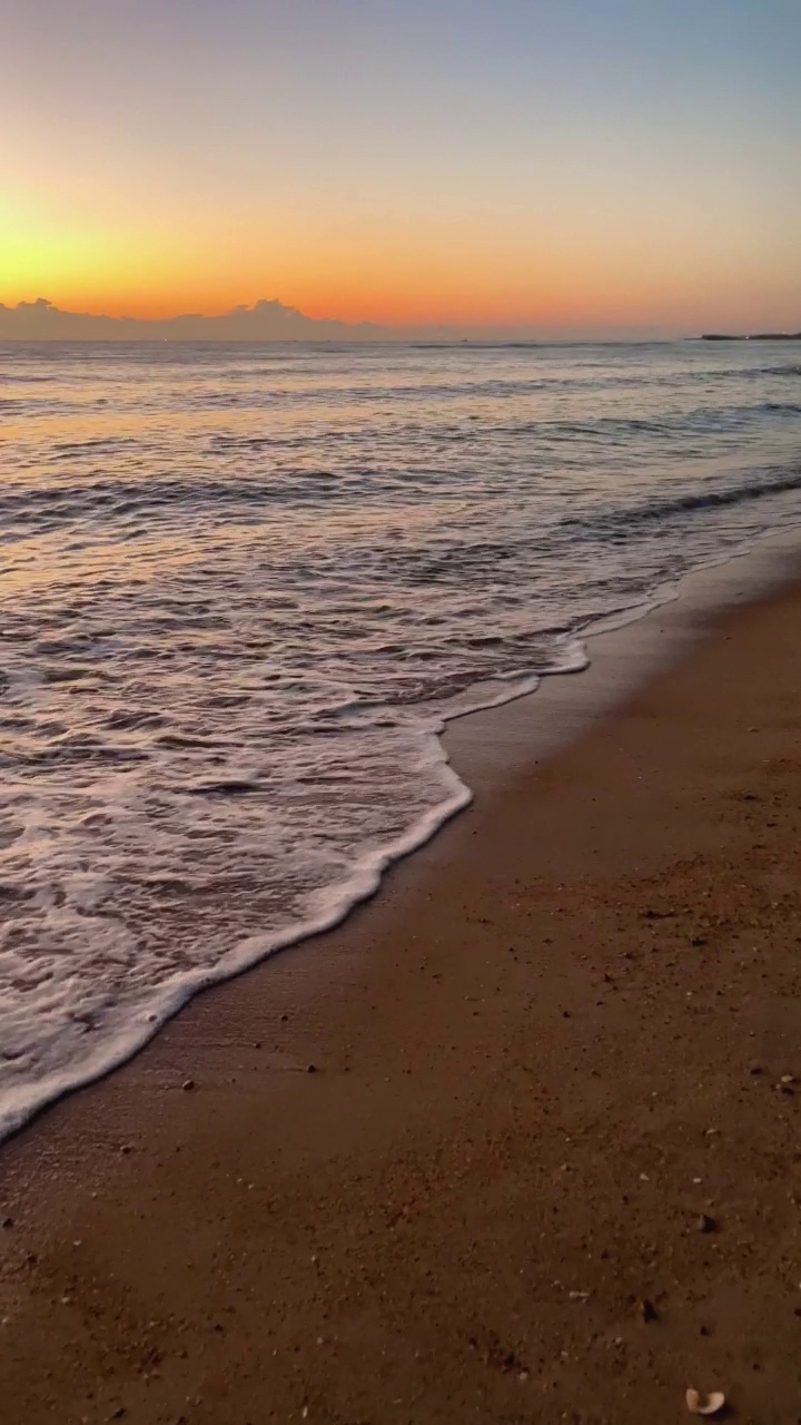 波夫走在蓝天下的沙滩上视频下载