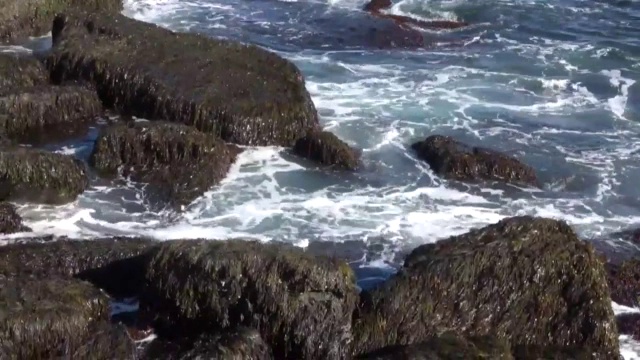海浪拍打着缅因州努布尔角灯塔前的巨石视频素材