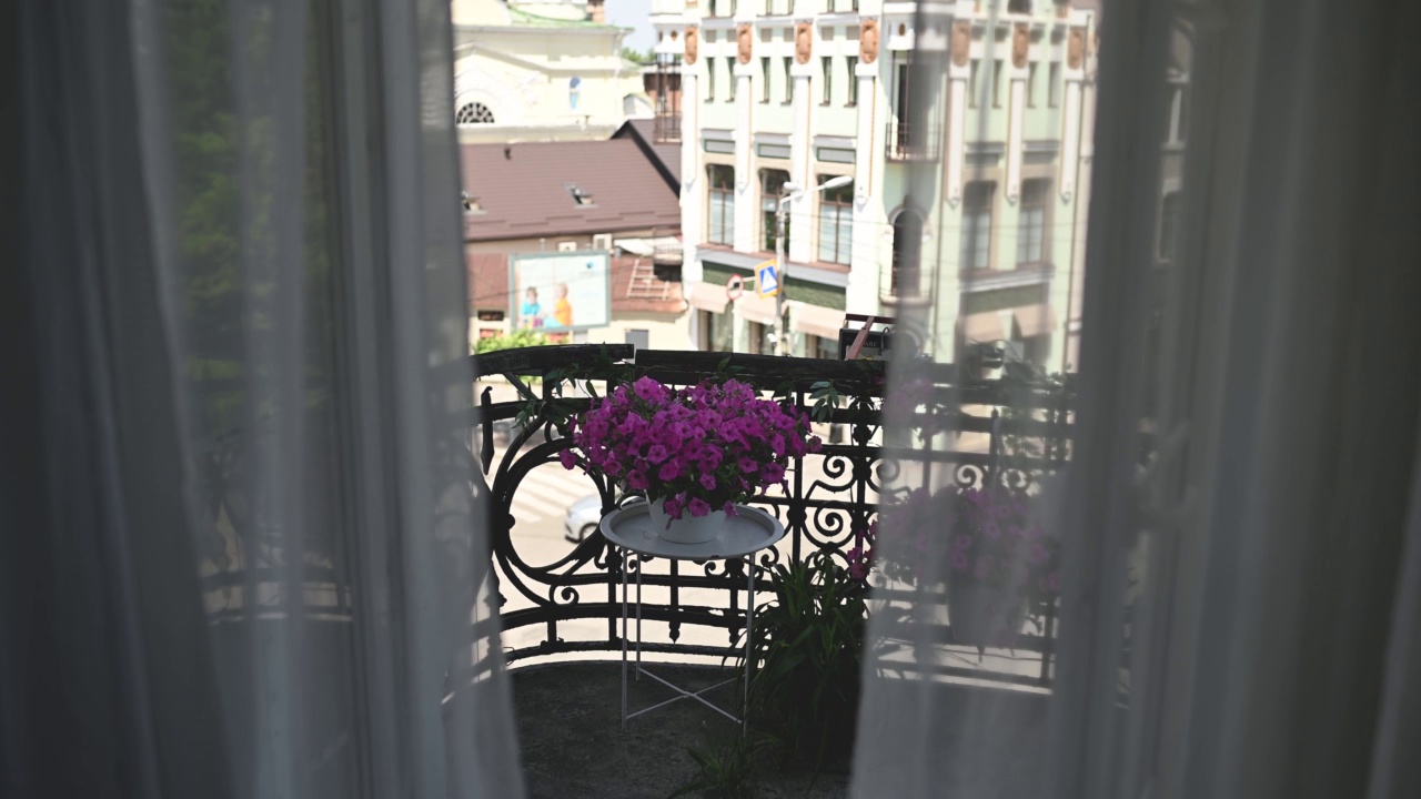 美丽的花在古老的阳台薄纱和城市景观视频素材