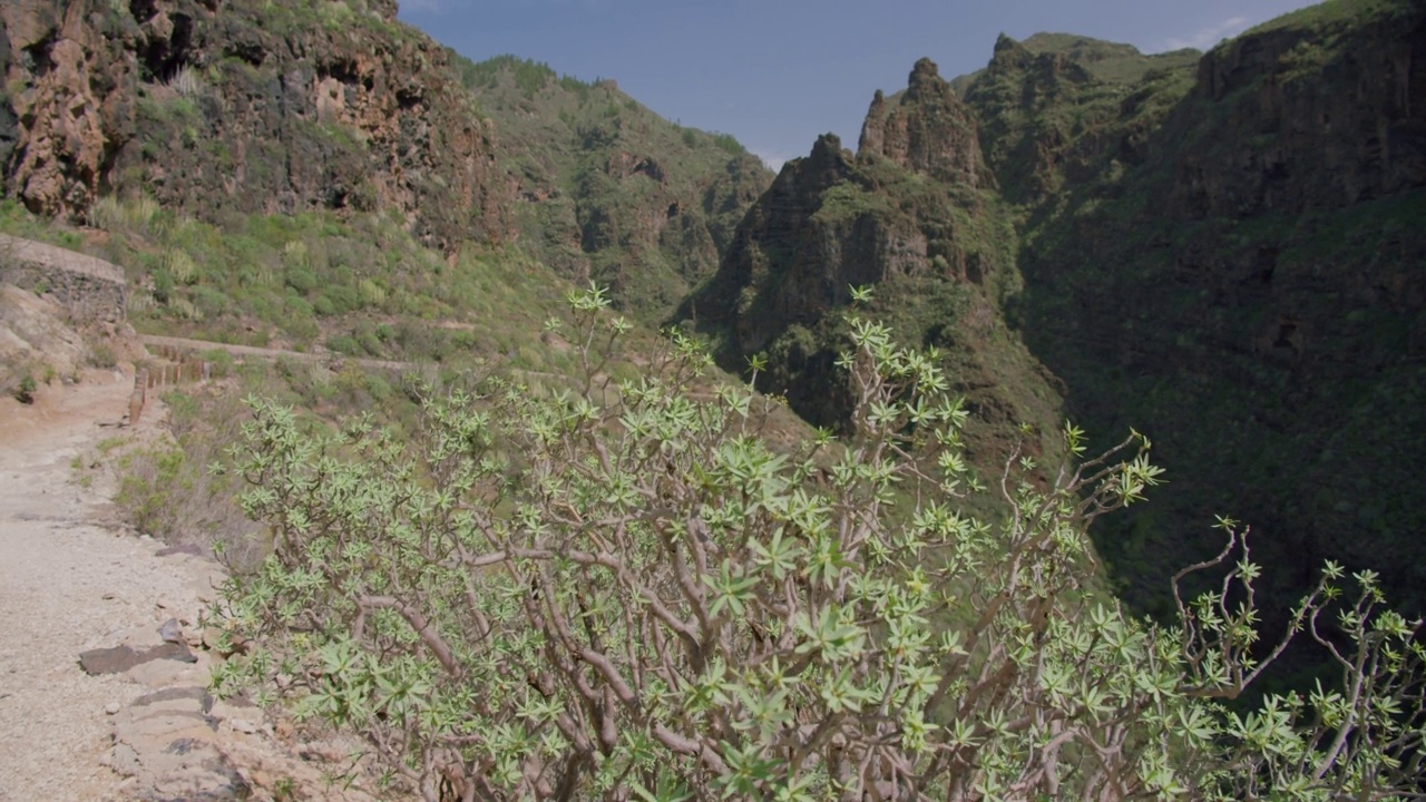 西班牙特内里费岛的地狱峡谷视频素材