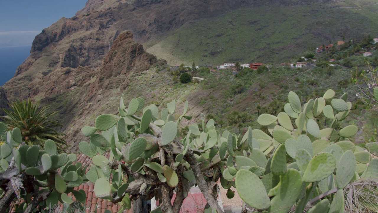 马斯卡峡谷和西班牙加那利群岛特内里费岛上的村庄。前景中有仙人掌视频素材