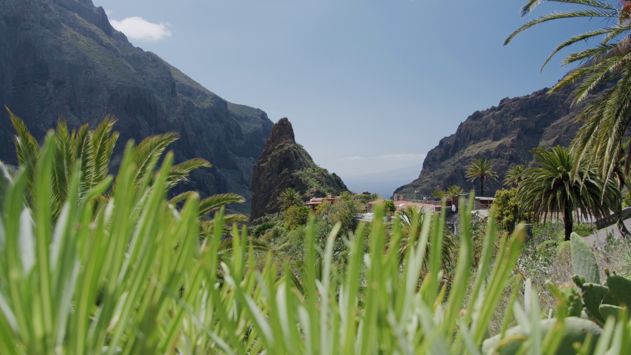 马斯卡峡谷和村庄在特内里费岛，加那利群岛，西班牙视频素材