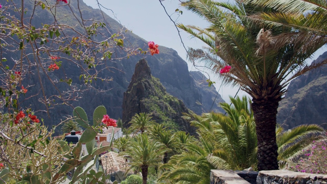 马斯卡峡谷和村庄在特内里费岛，加那利群岛，西班牙视频素材