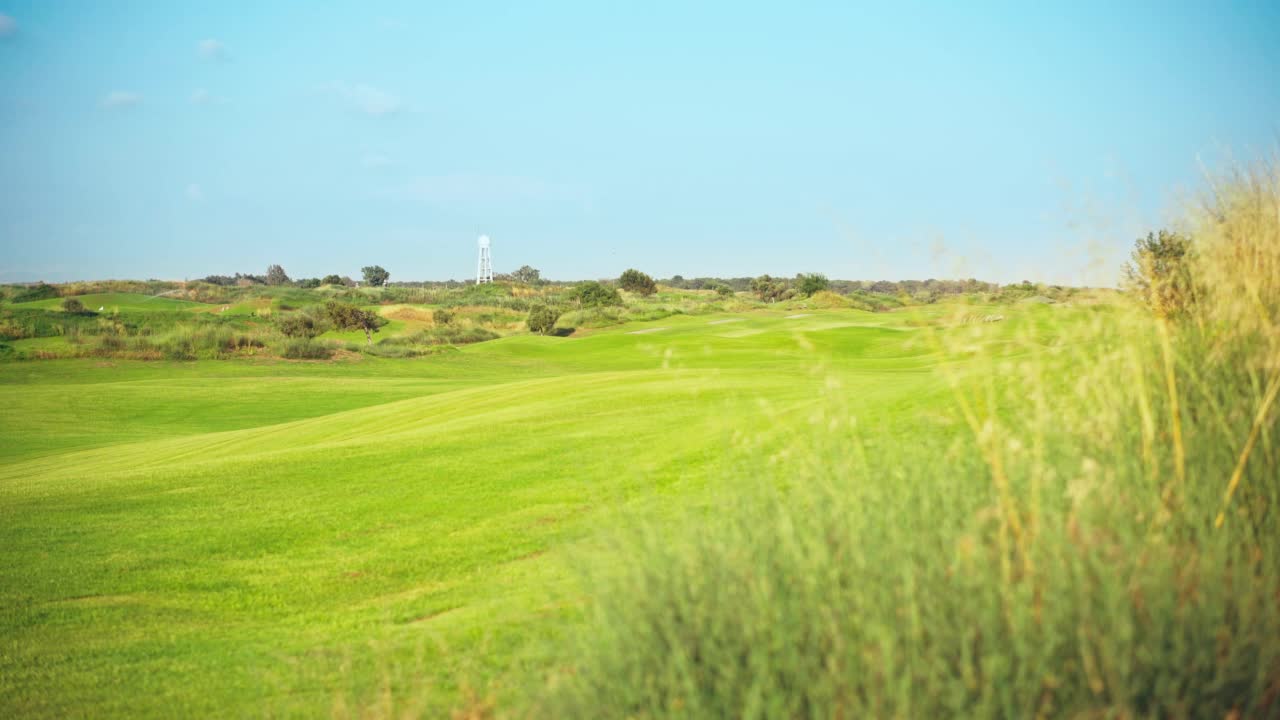 在蓝天的映衬下，高尔夫球场上翠绿明亮的草地视频素材