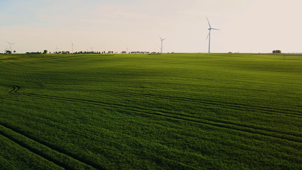 大片的绿色农田，种植着庄稼和大量的风力发电机涡轮机视频素材