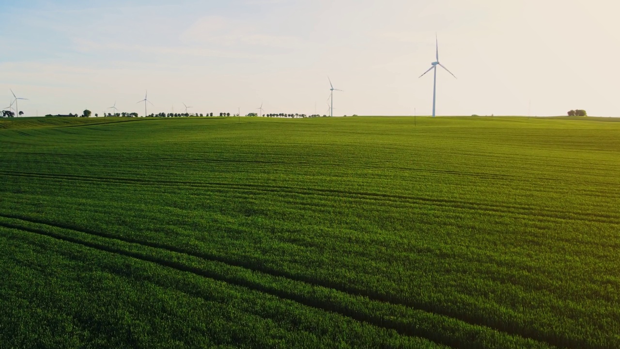 大片绿色的农田种植着庄稼，还有大量的风力发电机发电视频素材