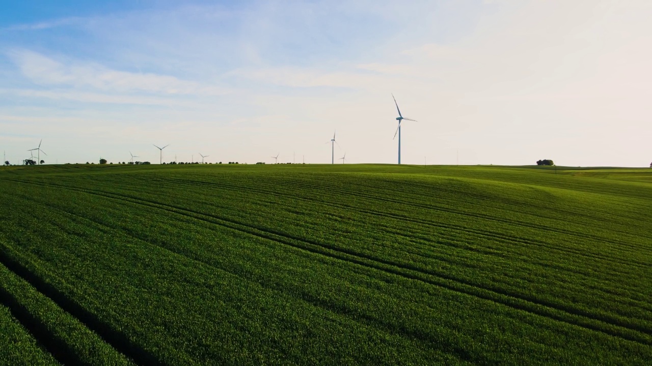 大片种植小麦的绿色农田和装有风车、发电机和涡轮机的农场视频素材