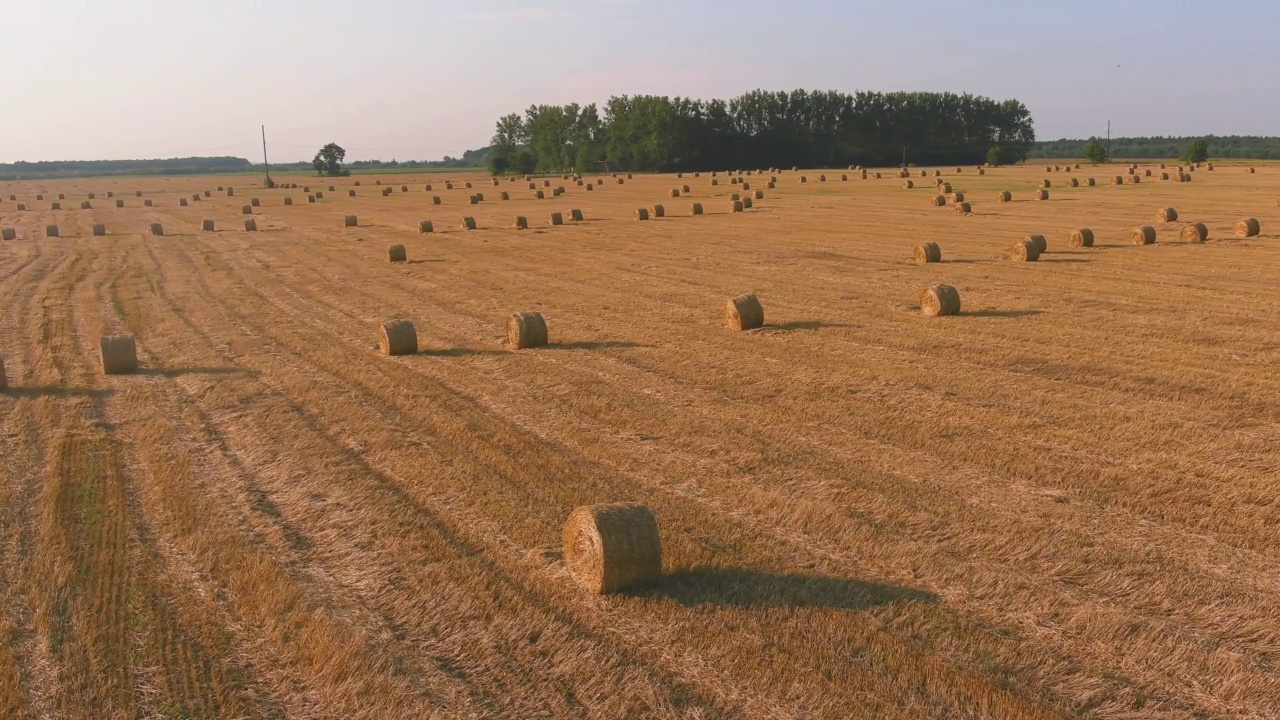 景观稻草包对夕阳的背景。农村自然。小麦收获干草捆视频素材