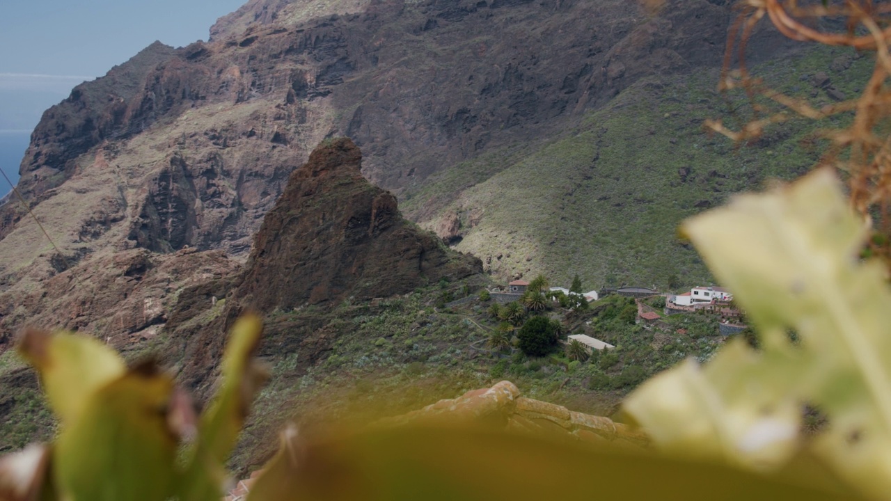 从棕榈叶下俯瞰马斯卡峡谷和村庄。特内里费岛，加那利群岛，西班牙。特写镜头视频素材