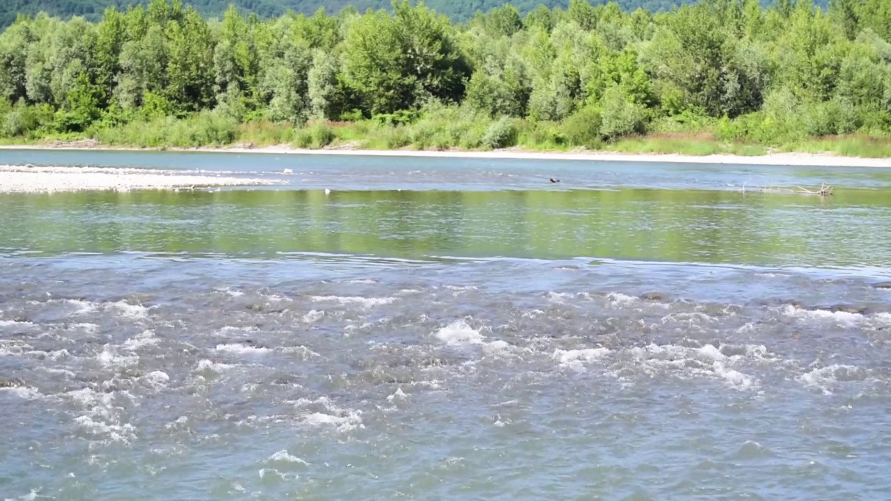 夏季景观附近的山河视频素材