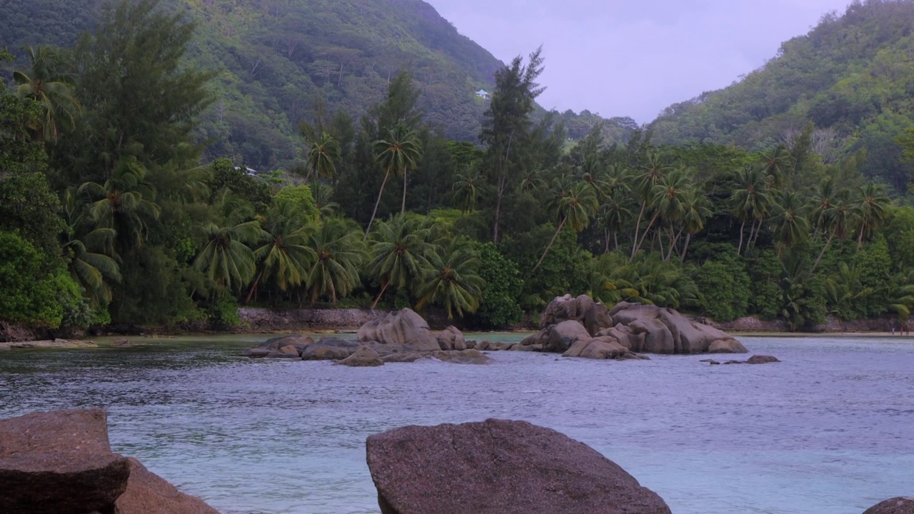 热带岛屿上的棕榈树视频素材