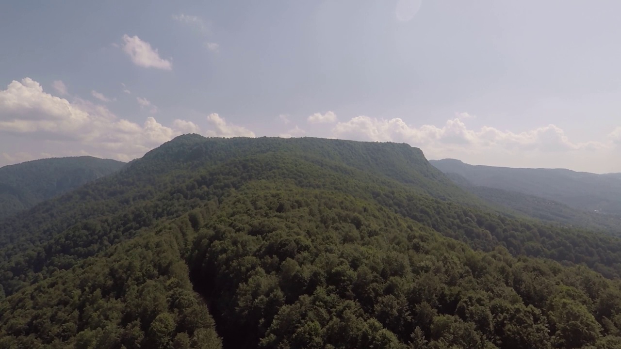 空中绿色森林视频素材