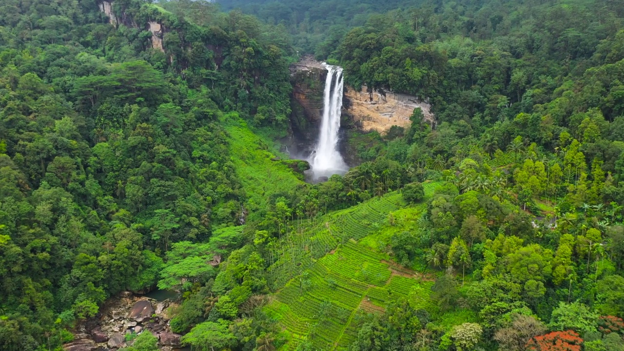 热带丛林中的瀑布。斯里兰卡。视频素材