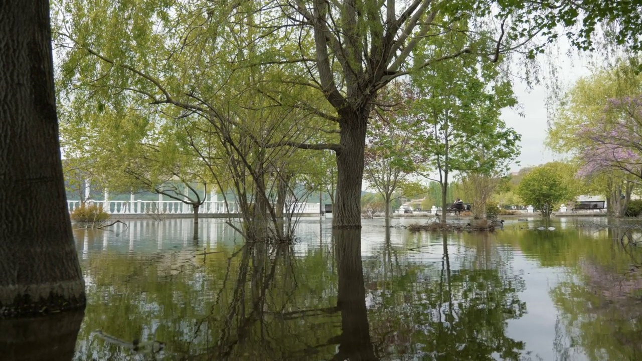 阿布拉-杜尔索的公园被绿树淹没。全球变暖导致湖水泛滥视频素材