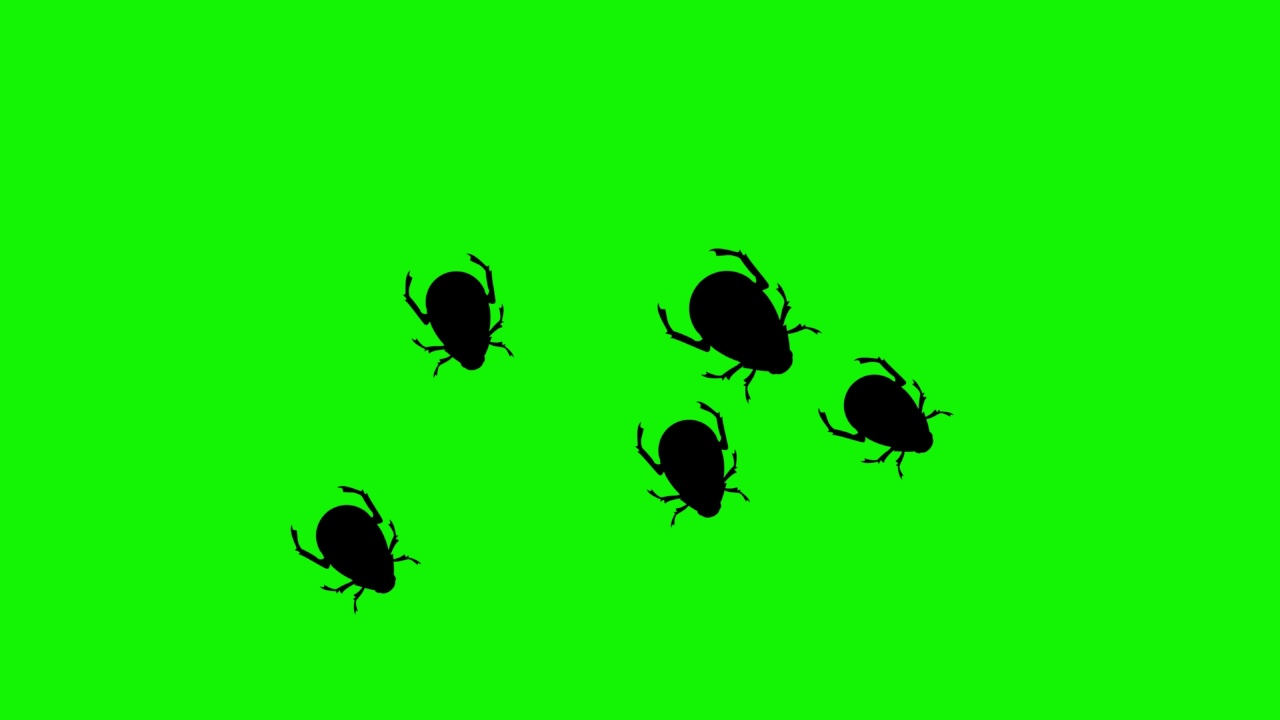 群虫行走动画绿屏色度键视频素材