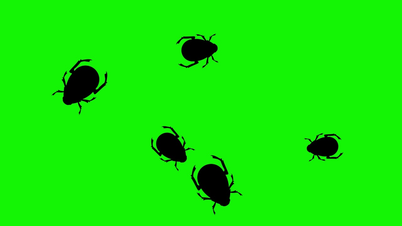 群虫行走动画绿屏色度键视频素材