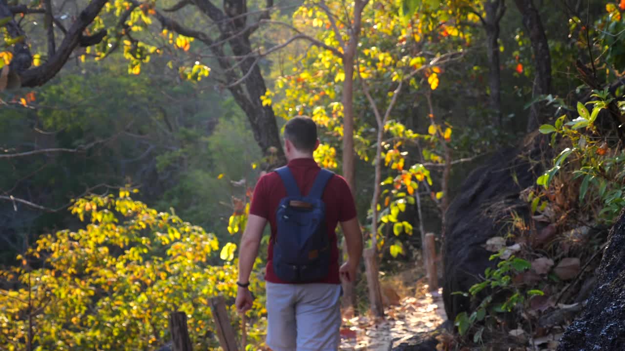 中年男子背着背包在自然公园的森林小径上徒步旅行或徒步旅行，后视图。成年男性游客在日落时分走在树林的轨道上，背影。旅游,旅游的概念视频素材