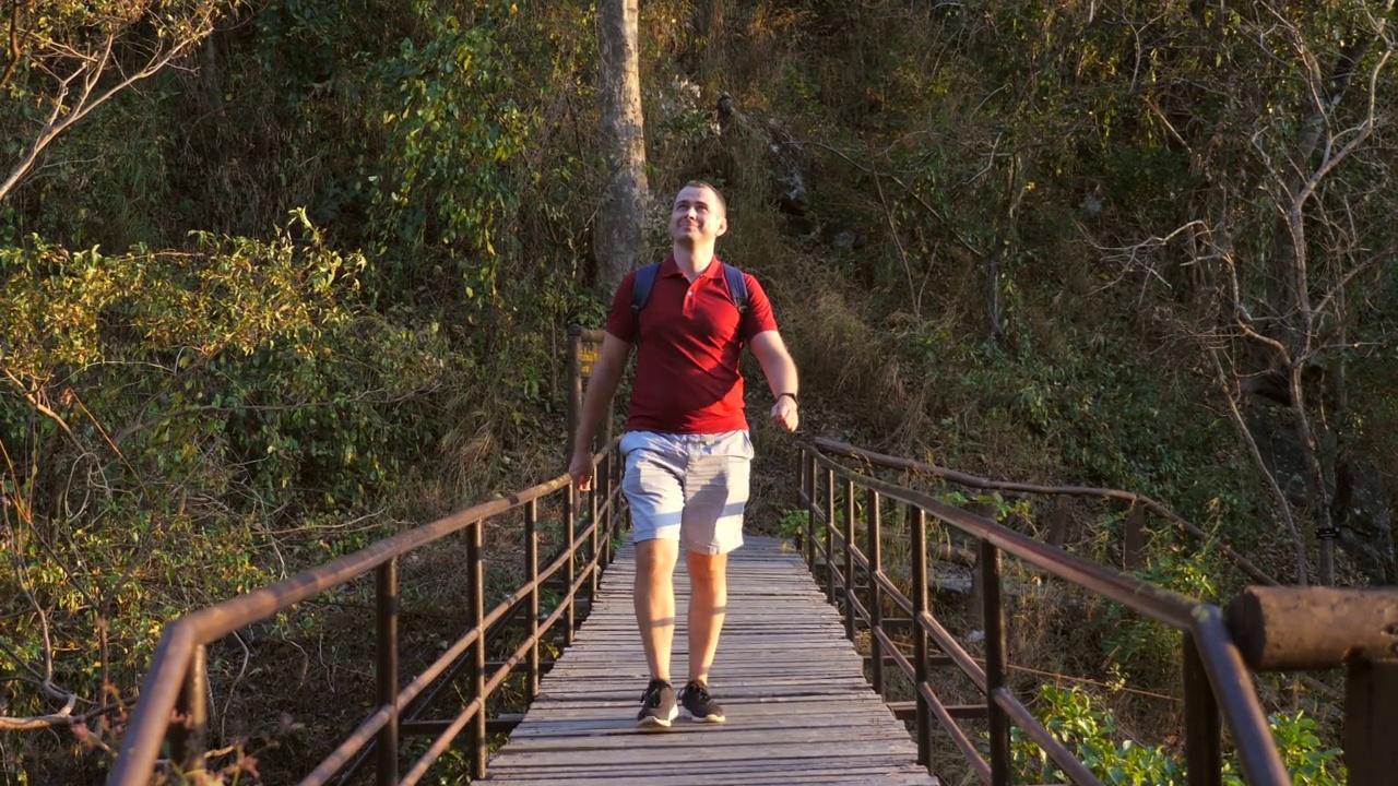 快乐微笑的男人带着背包去远足或徒步在自然保护区的森林人行桥。成年男性游客在日落时分走在林中的木道上。旅游,旅游的概念视频素材