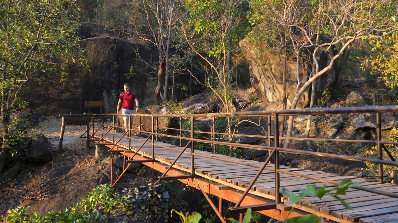 日落时分，背着背包的成年男子走在树林中的人行天桥上，用手遮住眼睛。快乐的男性游客去远足或徒步在自然公园的木径。旅游,旅游的概念视频素材