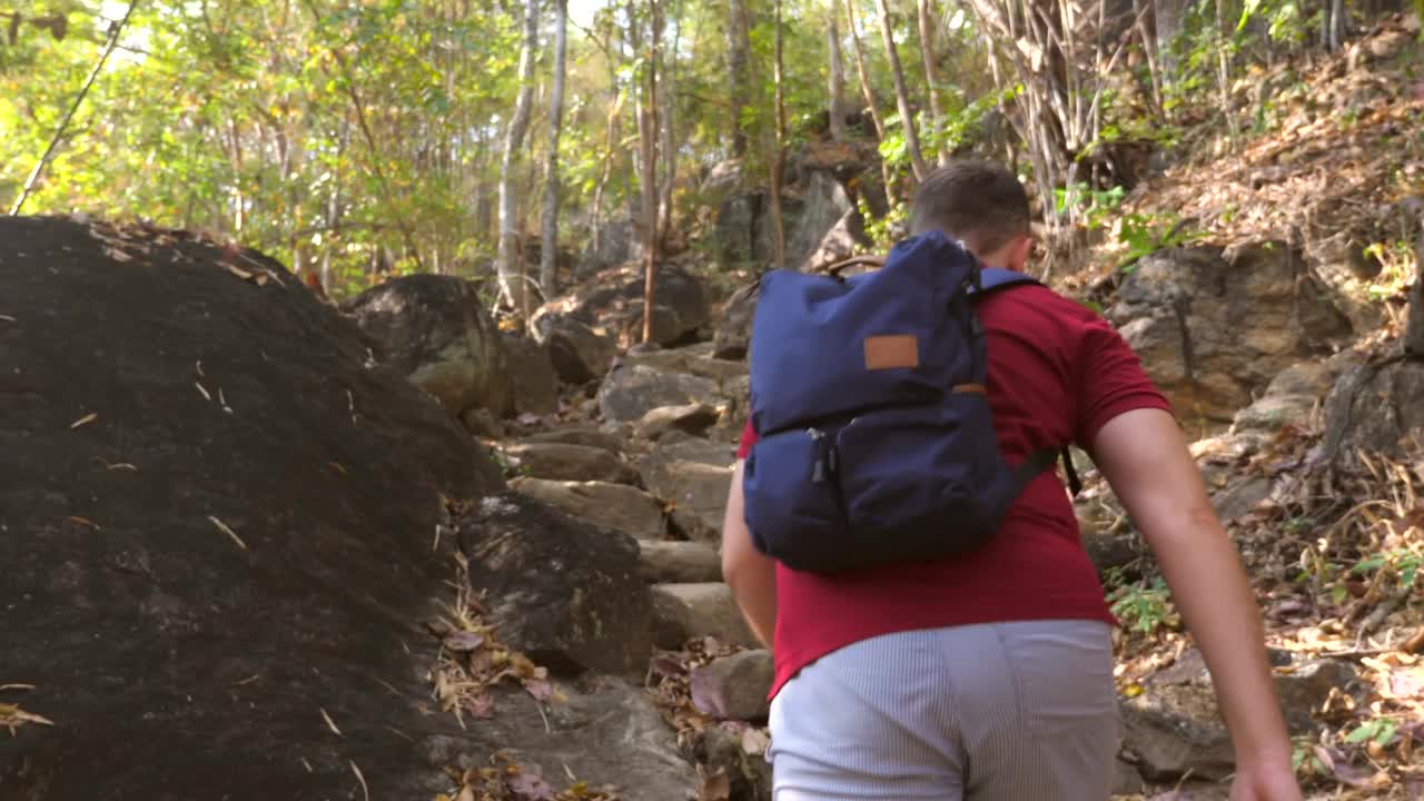 跟随拍摄的男性徒步在绿色森林的石头小径与太阳耀斑，跟踪拍摄从后面。户外活动，人在自然中的旅行理念视频下载