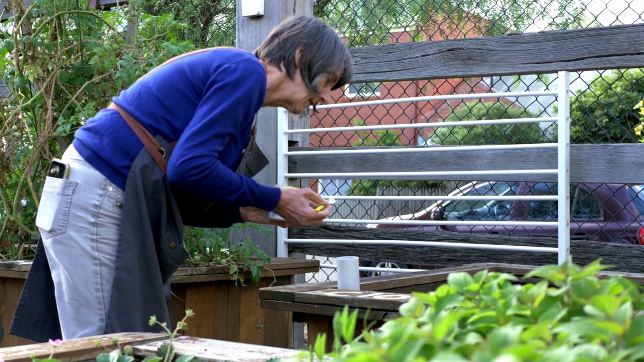 在社区花园，成熟的女性正在给高架床贴标签视频素材