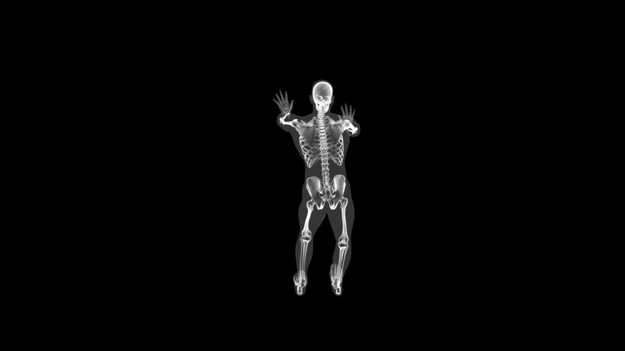 人体x光透视身体和骨骼，瑜伽拉伸上视图循环，Luma Matte视频素材