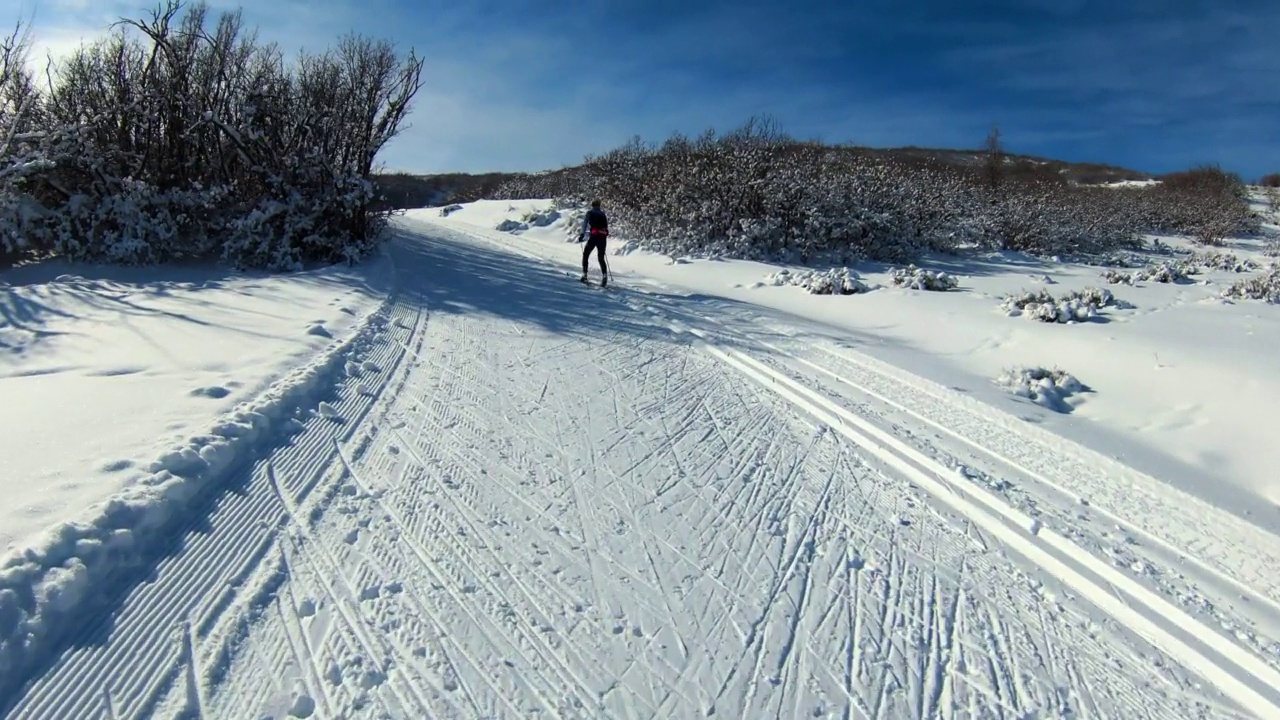 空中平移拍摄的男子滑雪雪景，无人机飞行向前植物-士兵空心，犹他州视频下载