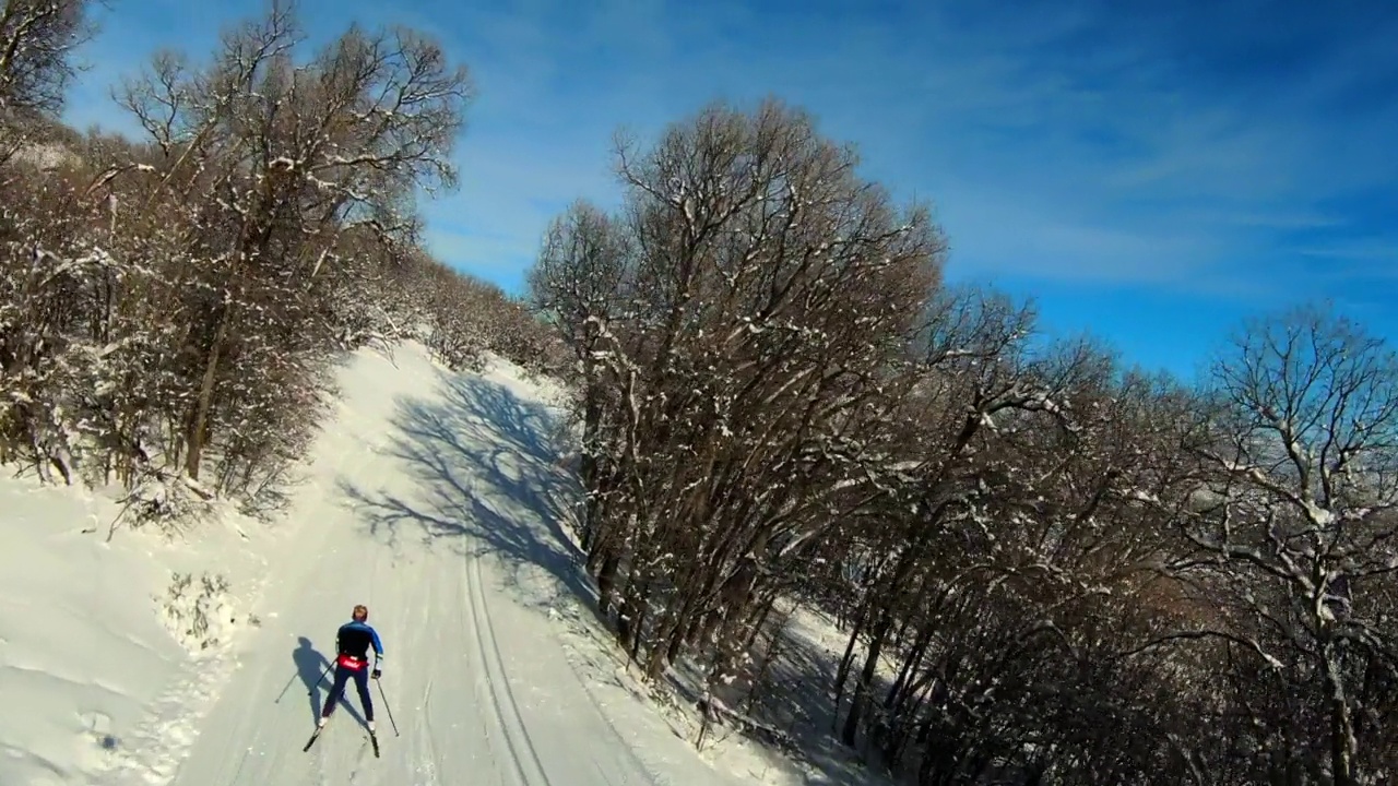 空中向前拍摄的女子在雪山上的植物中滑雪-士兵山谷，犹他州视频下载