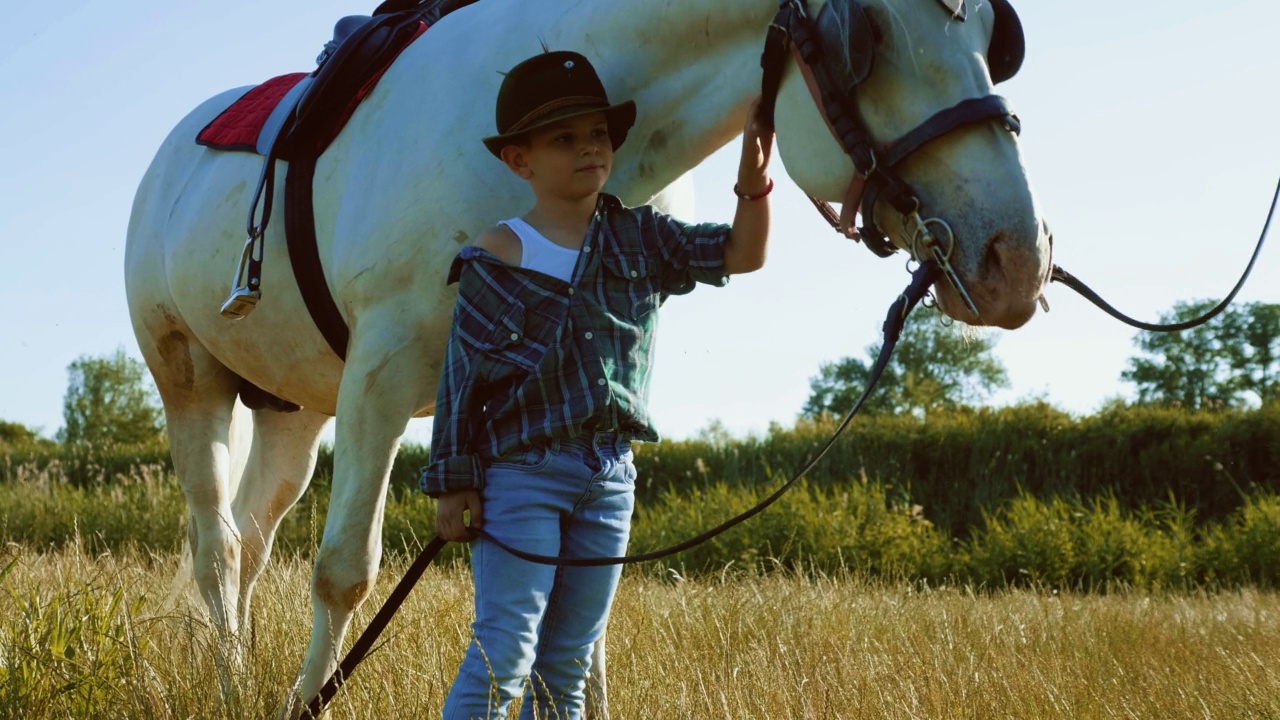 一个小男孩在农场用皮带牵着一匹马和他的宠物玩耍视频下载