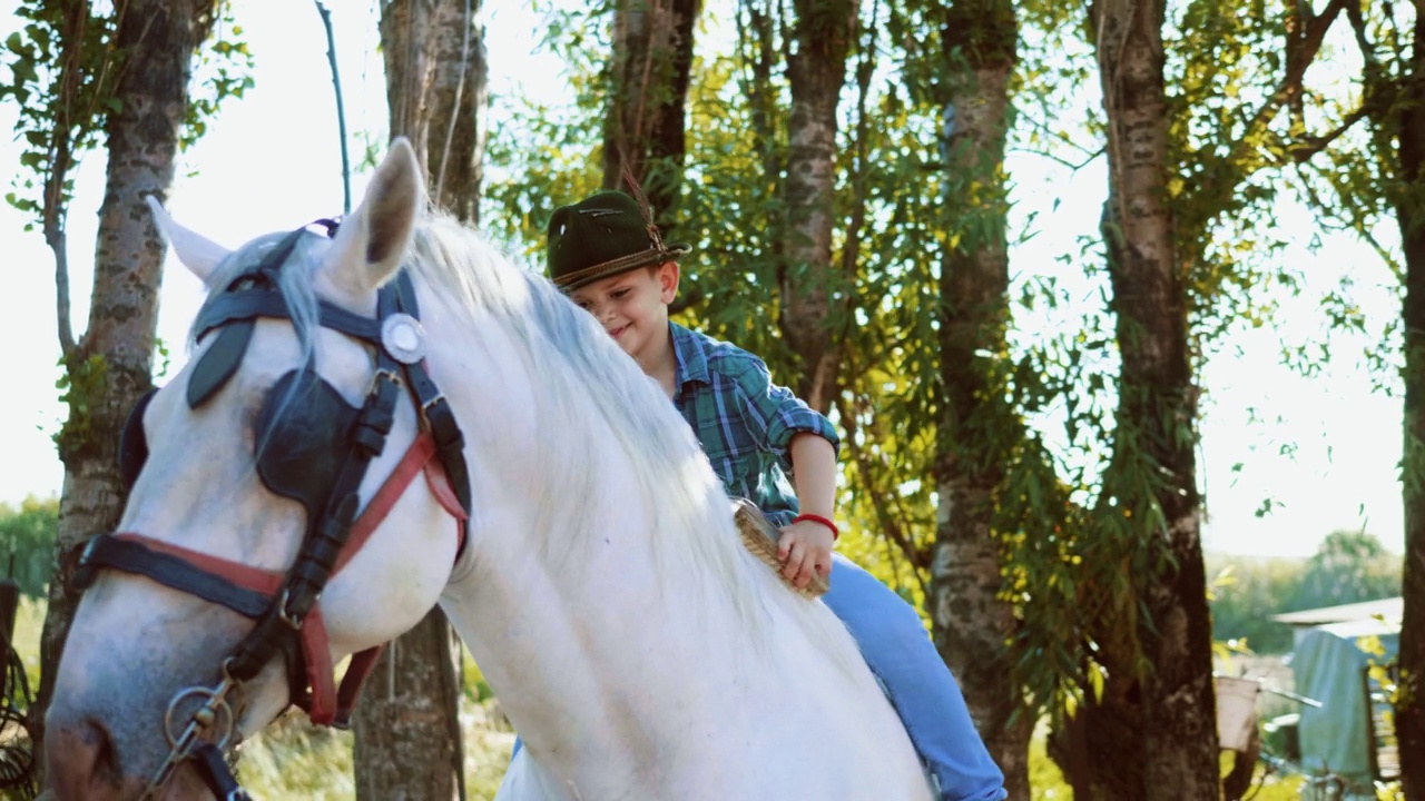 农场里的小男孩正坐在一匹白马上用刷子梳洗视频下载