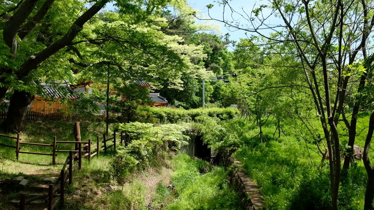 韩国首尔恩平韩屋村，绿林葱茏视频素材