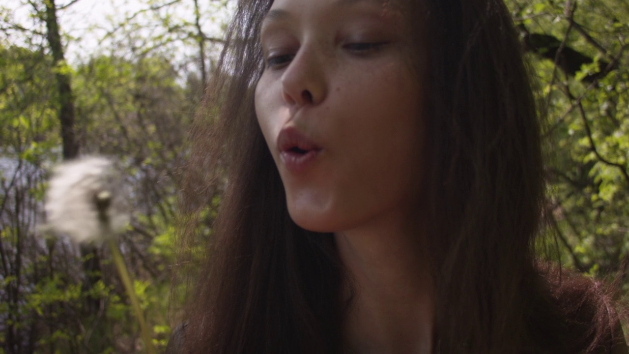 一个年轻女人在夏天的森林里吹蒲公英的特写。视频素材