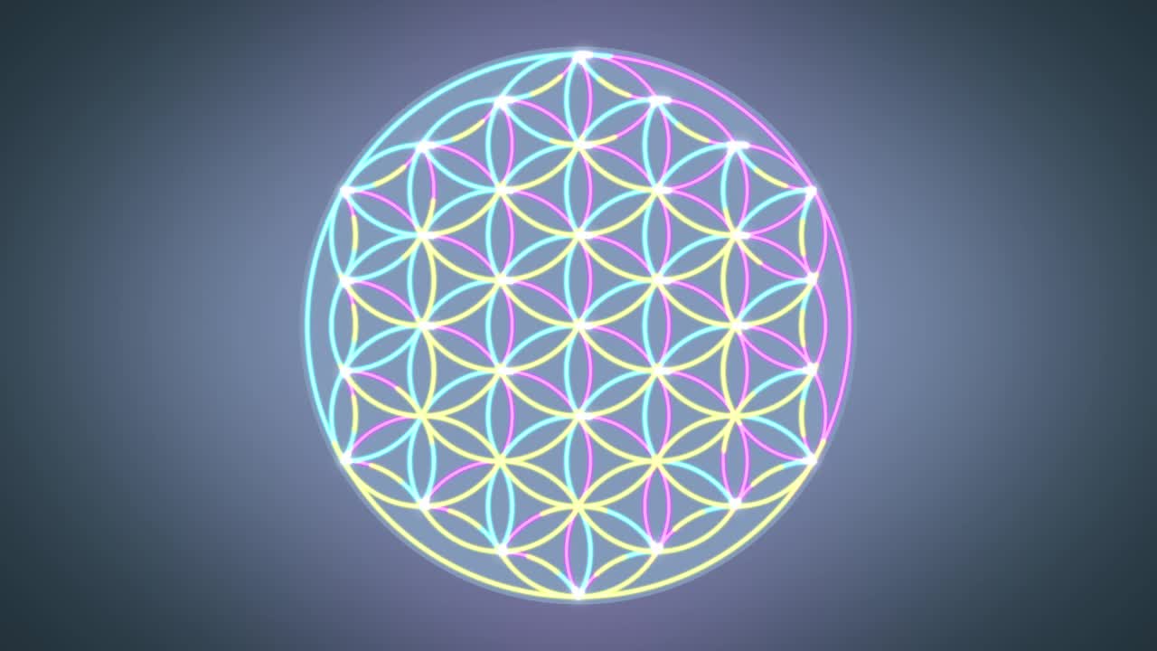 生命之花神圣的几何符号。毛圈抽象动画视频素材