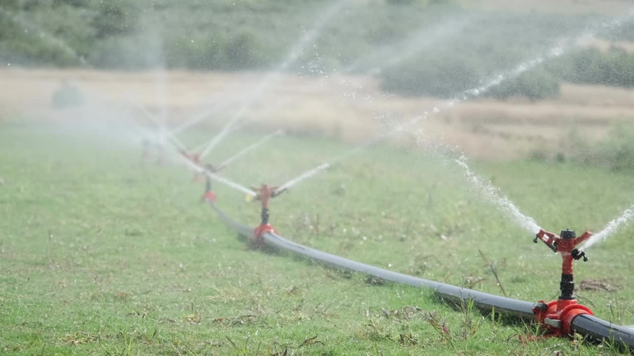 用自动灌溉系统对新种植的农田进行灌溉。农业产业视频素材