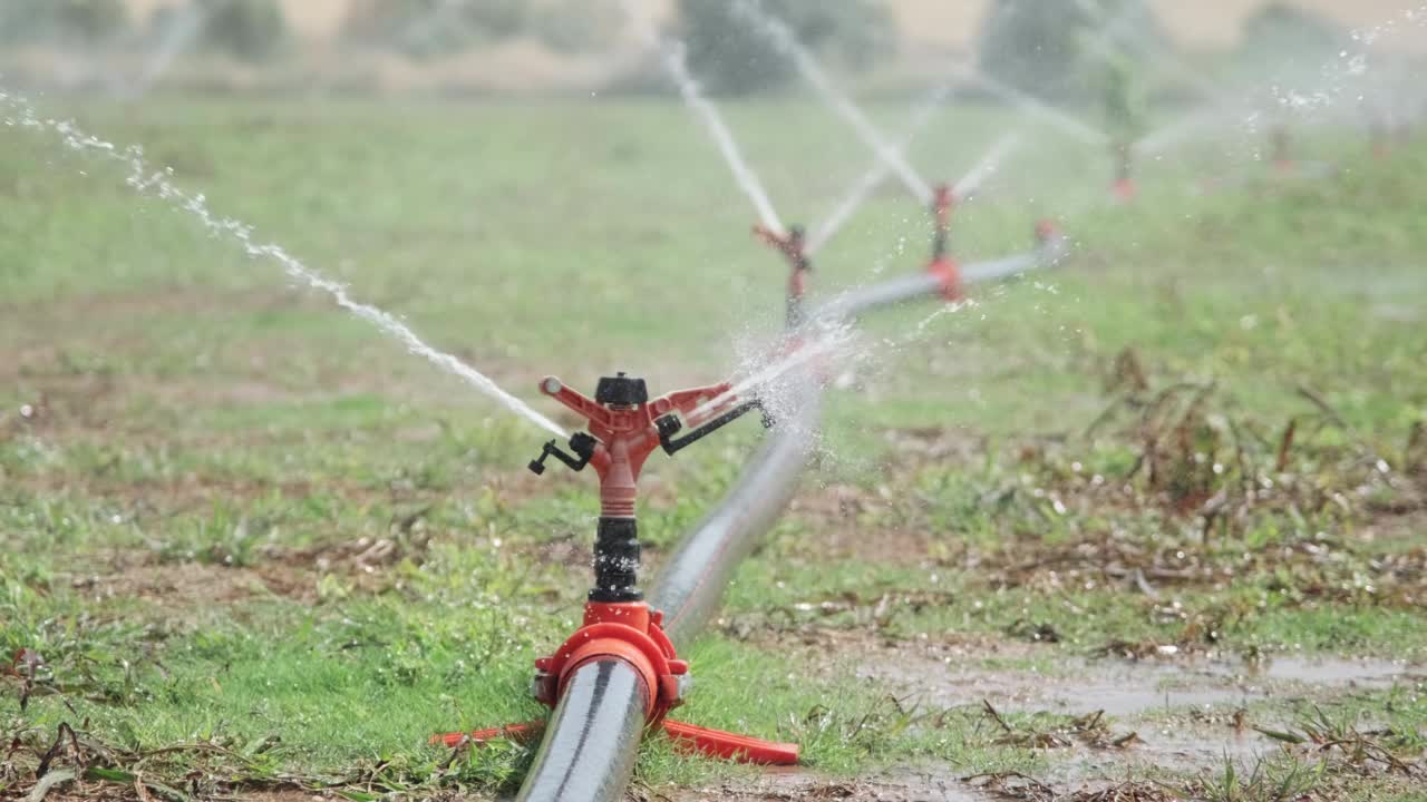 用自动灌溉系统对新种植的农田进行灌溉。农业产业视频素材