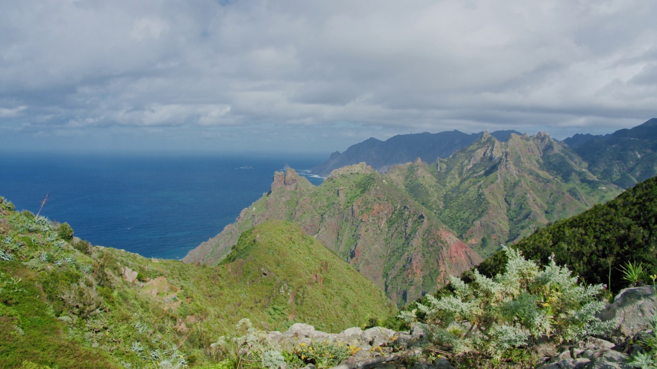 Anaga国家公园。从山峰上看海洋的电影视角。特内里费岛，加那利群岛，西班牙。前景中有仙人掌。春天。视频素材