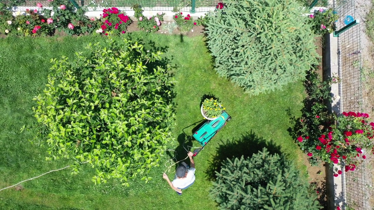 一名妇女在后院用电动割草机割草的鸟瞰图视频下载