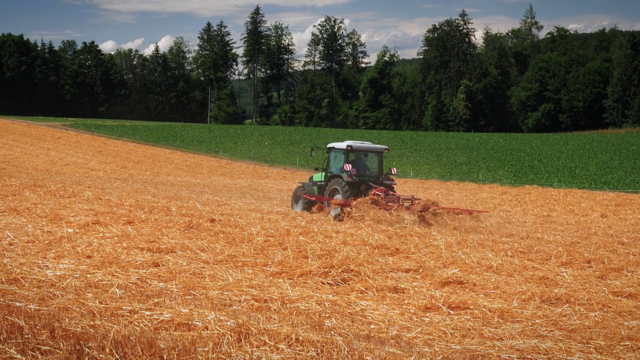 结合收割小麦。收获季节在农田上工作的拖拉机视频素材