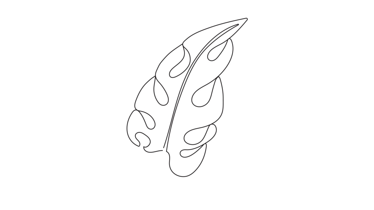 手掌，monstera动画在线条艺术风格。民族部落植物载体在手绘制风格与波西米亚装饰包装纸视频素材