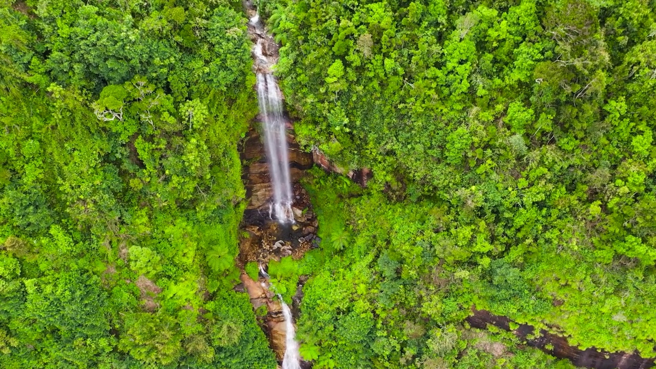 俯瞰绿色森林中美丽的瀑布。视频素材