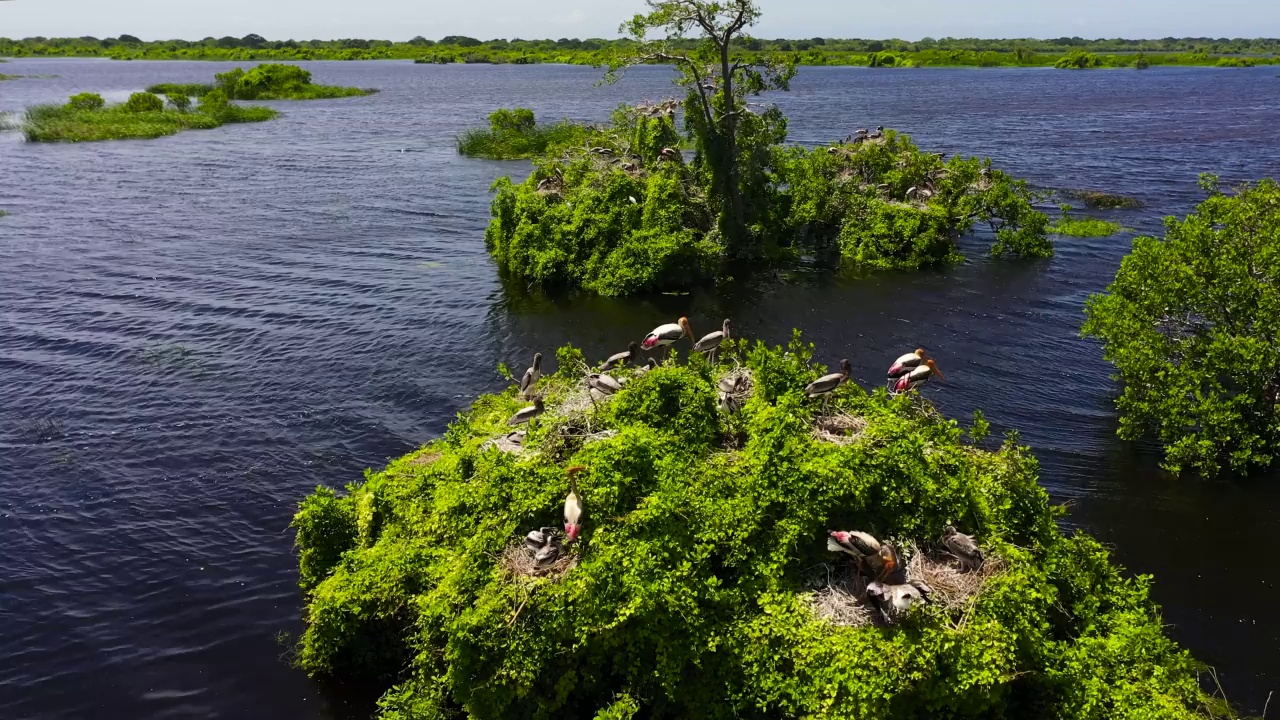 有湖和鸟的库马纳国家公园。视频素材