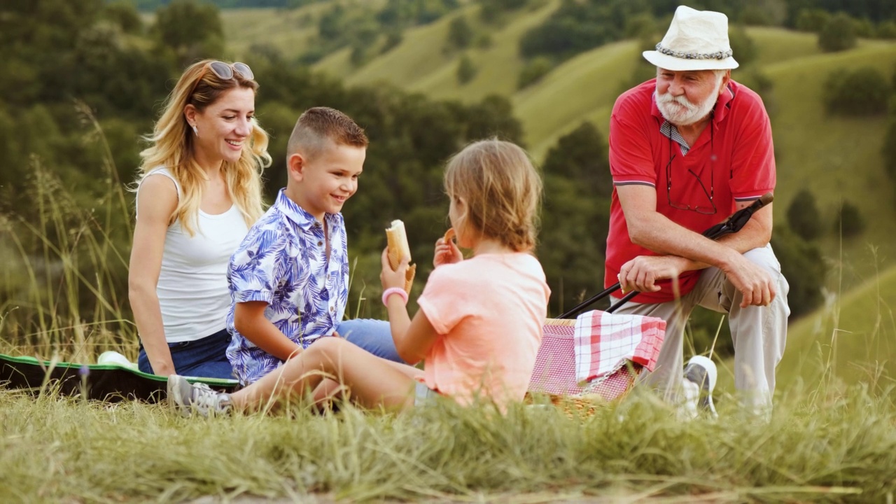 一家人在户外野餐。几代人微笑着坐在山顶的毯子上视频素材