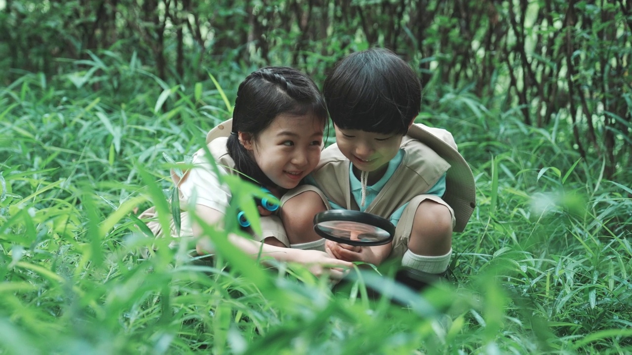 探索，探险家，森林-儿童观察植物与放大镜视频下载