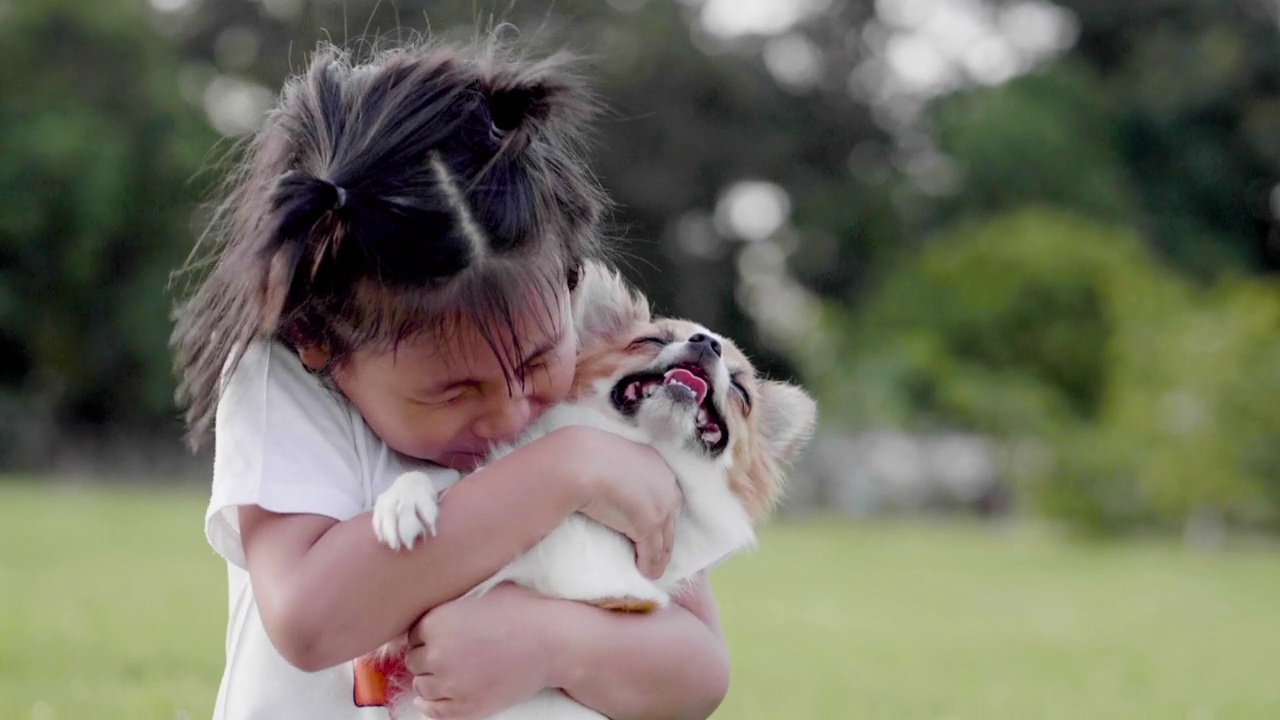 一个小女孩用爱和关心拥抱着一只狗狗。在公园里，无论是人还是狗，都洋溢着幸福和灿烂的笑容，爱着人与宠物的理念。视频素材
