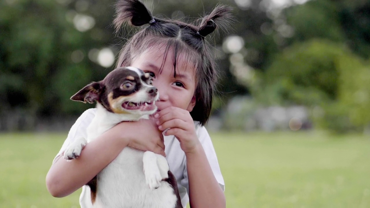 一个小女孩用爱和关心拥抱着一只狗狗。在公园里，无论是人还是狗，都洋溢着幸福和灿烂的笑容，爱着人与宠物的理念。视频素材